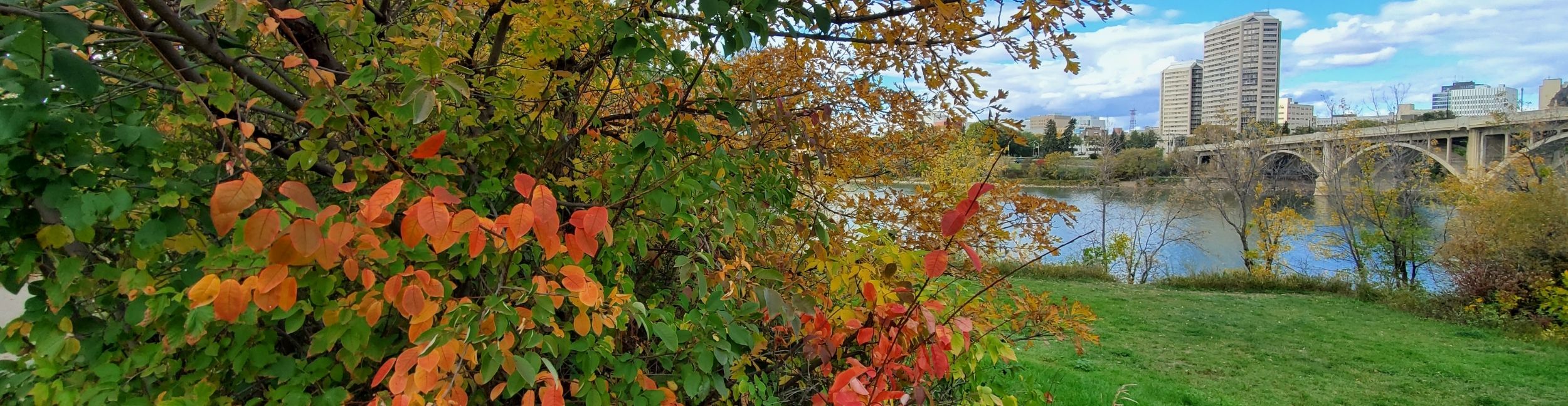 Fall comes to the Meewasin Valley Saskatoon