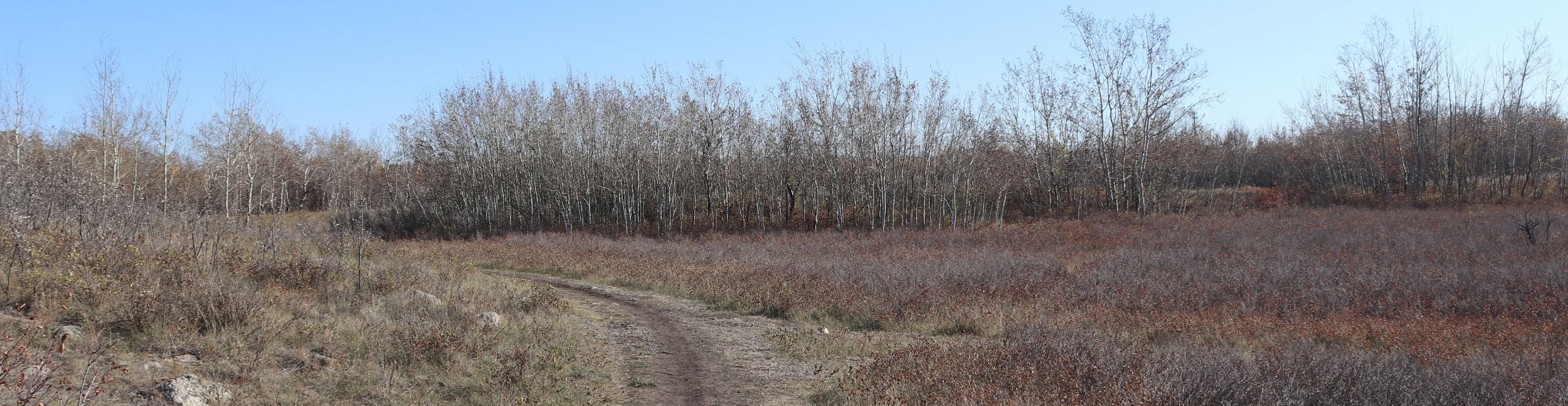 The trails at Saskatoon Natural Grasslands Meewasin