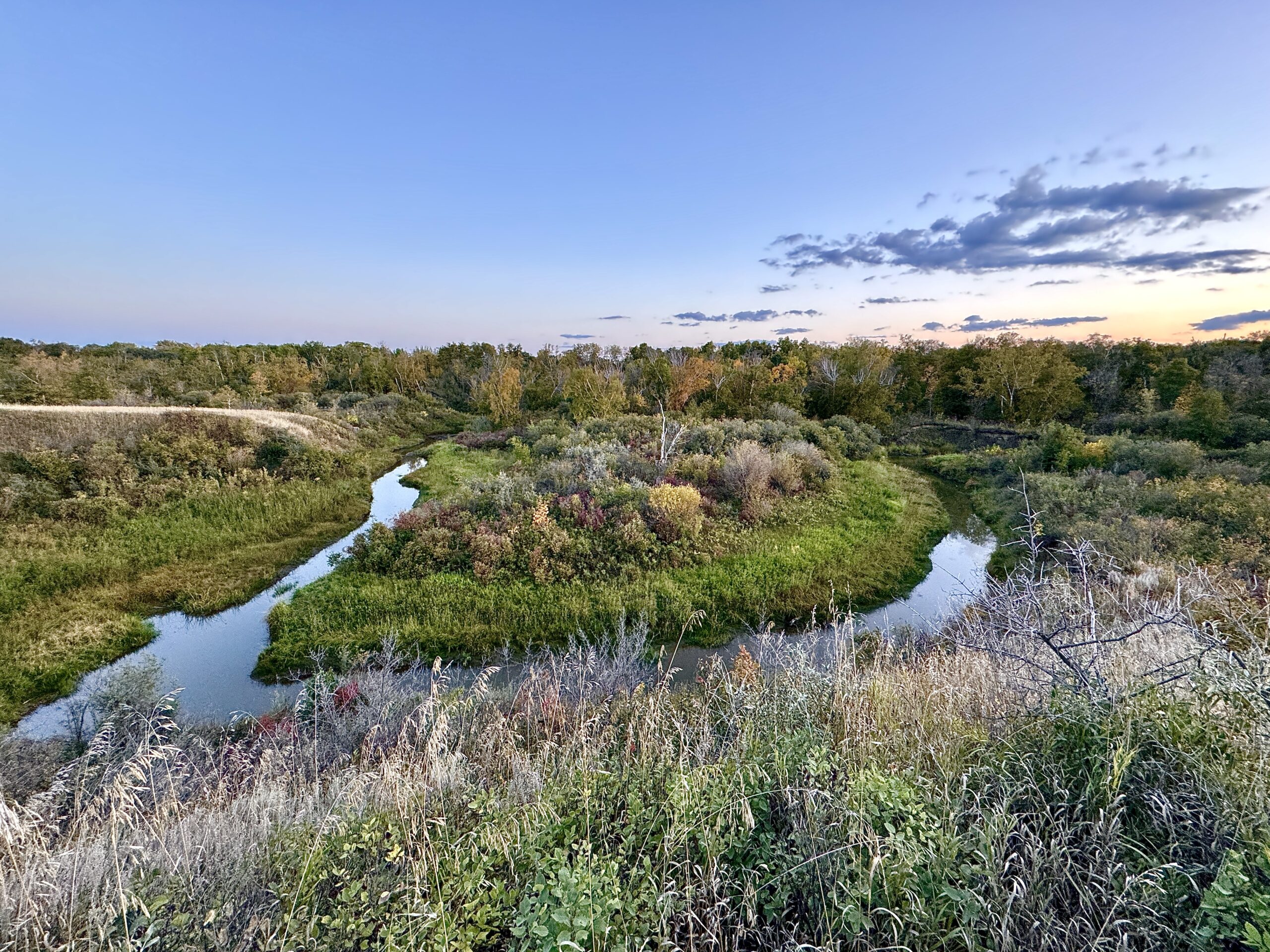 Webinar: A History of Beaver Creek