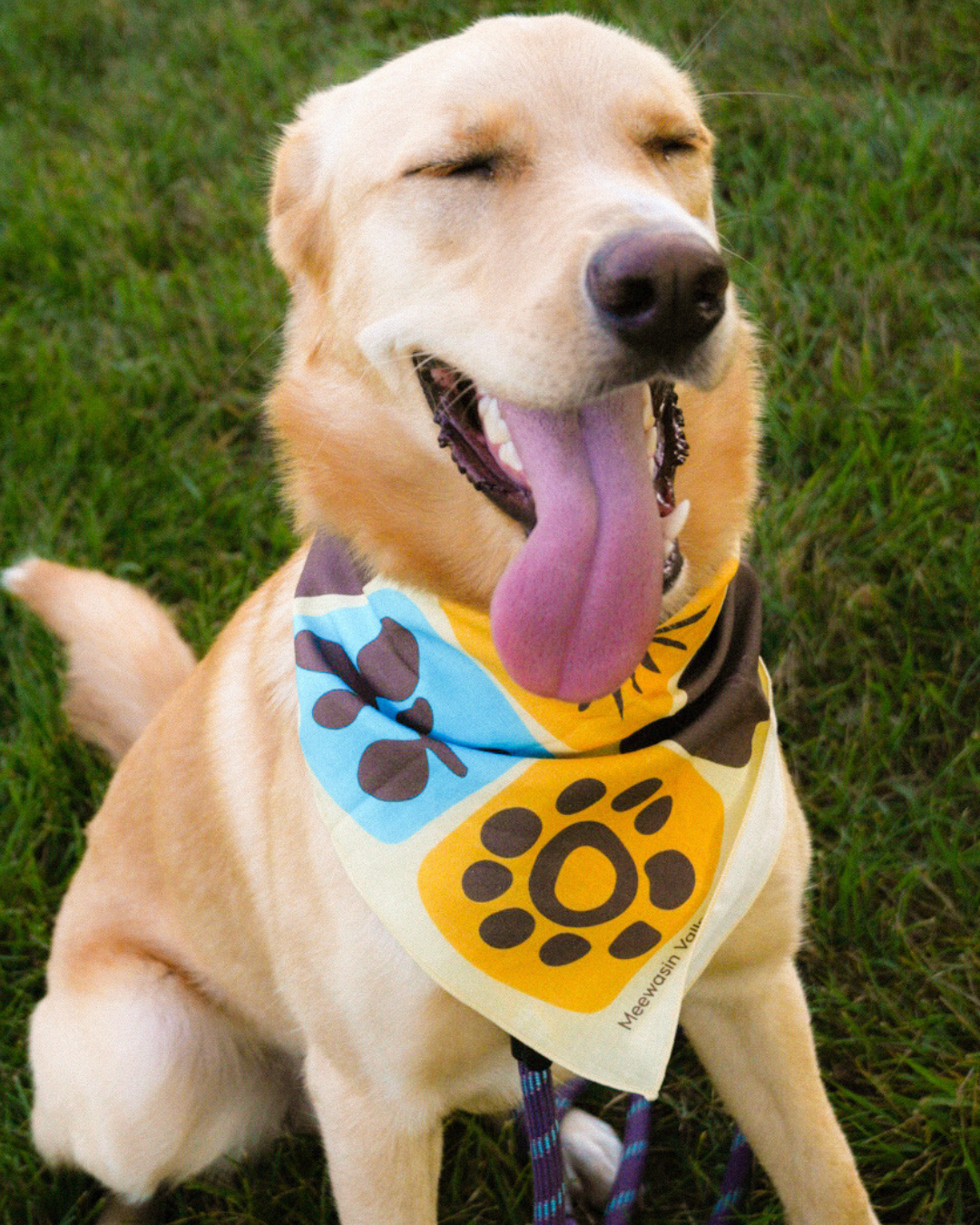 Meewasin Patch Bandana