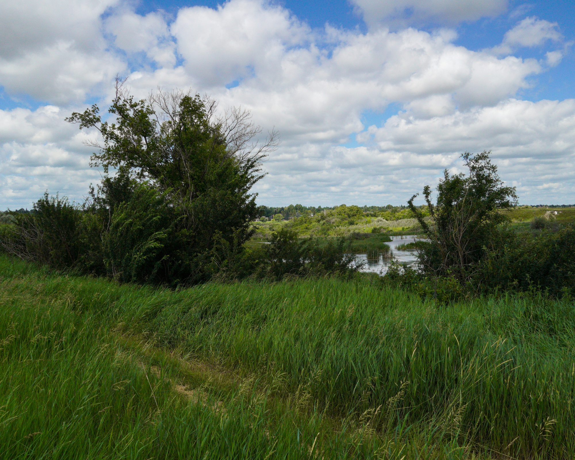 Planning for New Meewasin Trail in Northeast Saskatoon  – September 2026